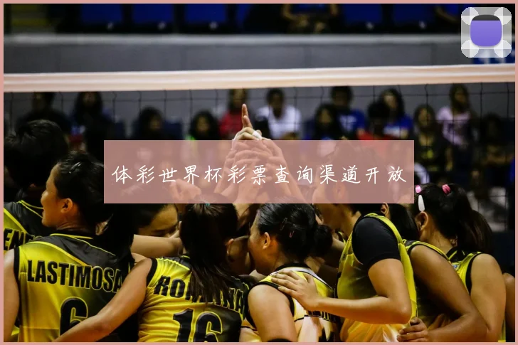体彩世界杯彩票查询渠道开放