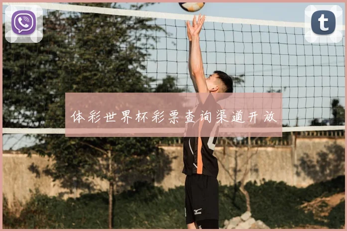 体彩世界杯彩票查询渠道开放