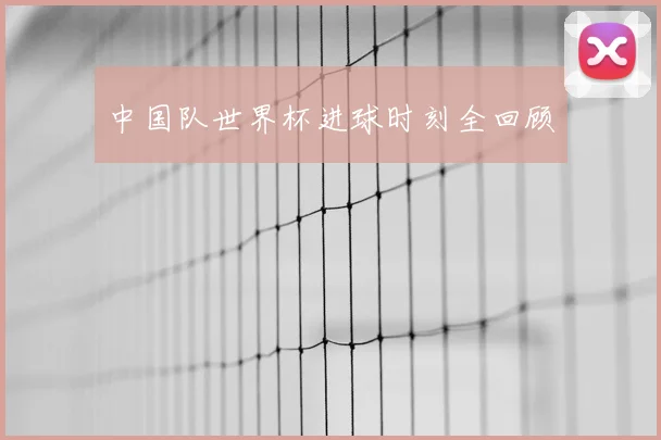 中国队世界杯进球时刻全回顾