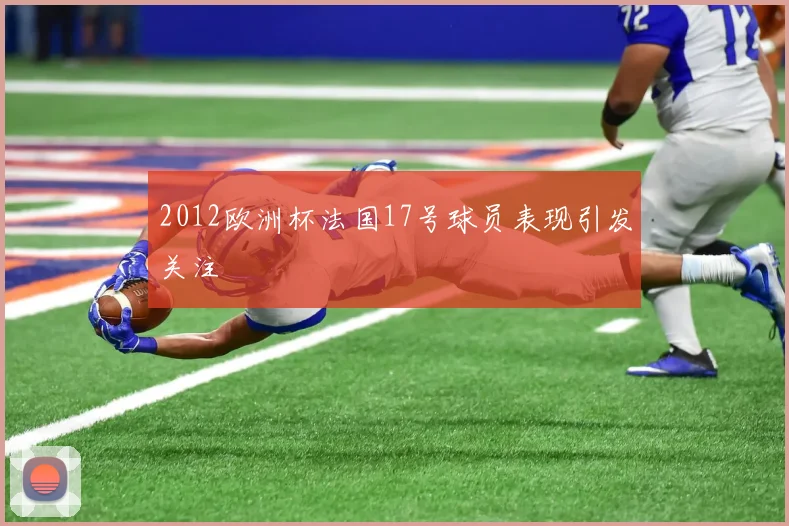 2012欧洲杯法国17号球员表现引发关注